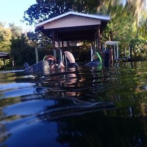 Meet your Posher, Tasha